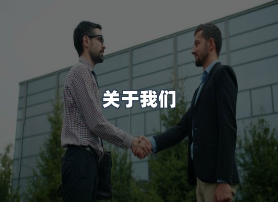 专业团队