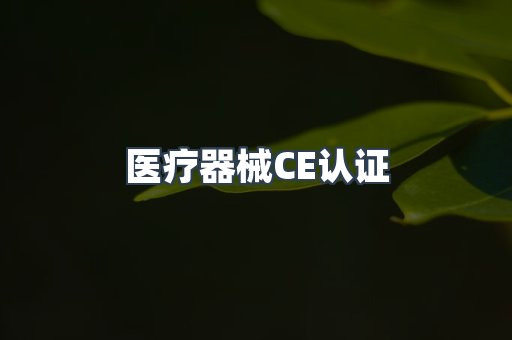 口罩防护类系列CE认证